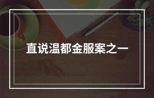 直说温都金服案之一