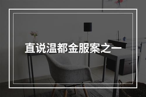 直说温都金服案之一