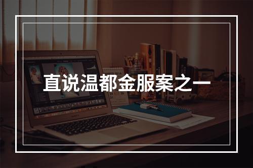 直说温都金服案之一