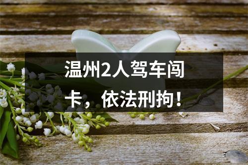 温州2人驾车闯卡，依法刑拘！