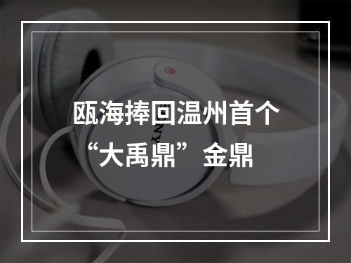 瓯海捧回温州首个“大禹鼎”金鼎