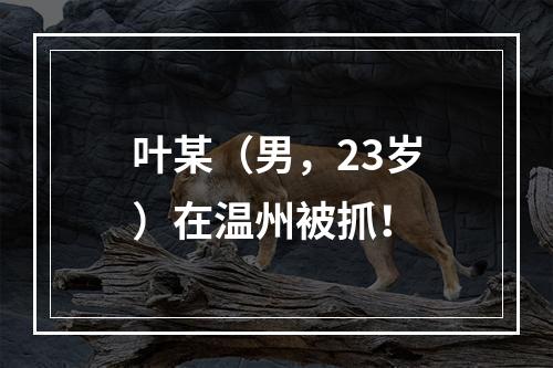 叶某（男，23岁）在温州被抓！