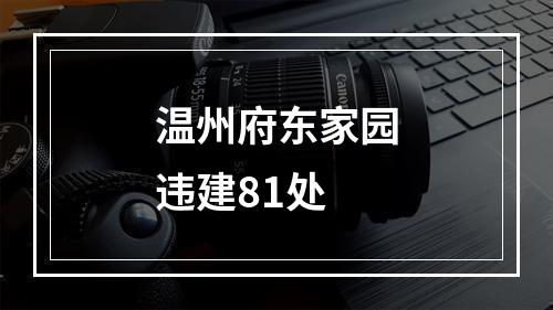 温州府东家园违建81处