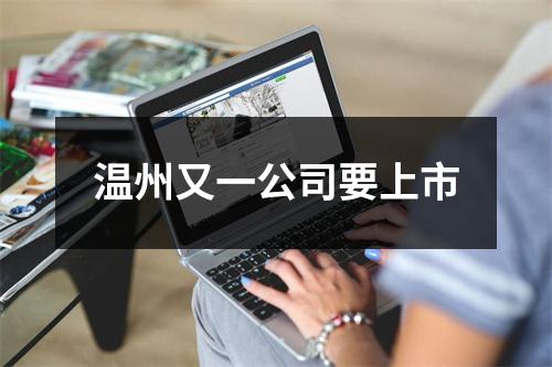 温州又一公司要上市