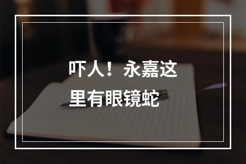 吓人！永嘉这里有眼镜蛇