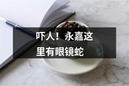 吓人！永嘉这里有眼镜蛇