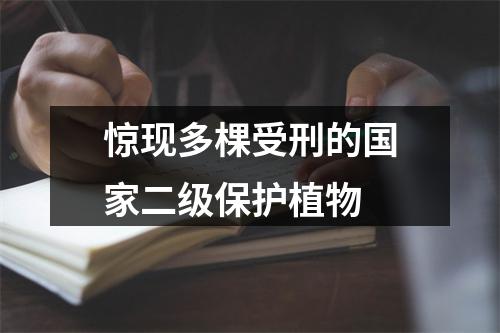 惊现多棵受刑的国家二级保护植物