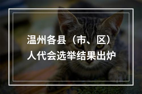 温州各县（市、区）人代会选举结果出炉