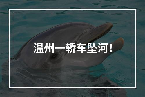 温州一轿车坠河！