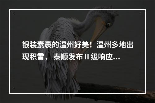 银装素裹的温州好美！温州多地出现积雪， 泰顺发布Ⅱ级响应、学校停课