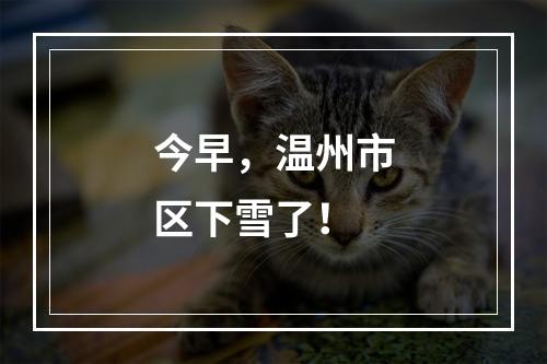 今早，温州市区下雪了！