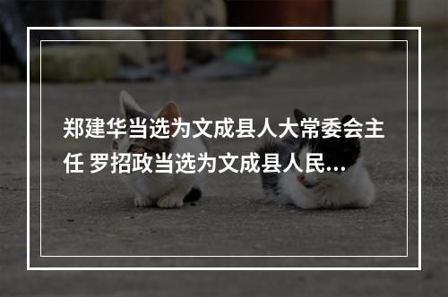 郑建华当选为文成县人大常委会主任 罗招政当选为文成县人民政府县长！