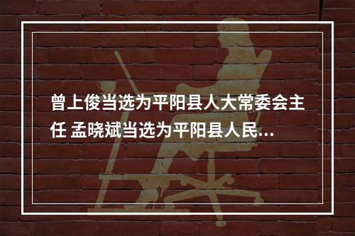 曾上俊当选为平阳县人大常委会主任 孟晓斌当选为平阳县人民政府县长