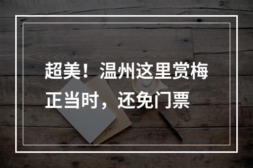 超美！温州这里赏梅正当时，还免门票