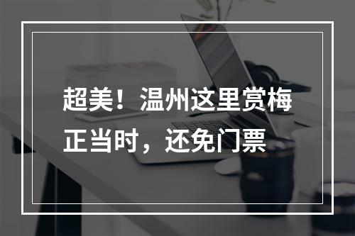 超美！温州这里赏梅正当时，还免门票