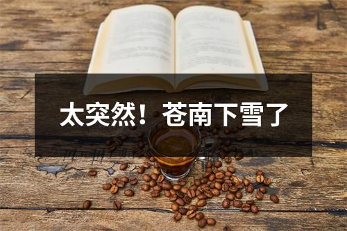太突然！苍南下雪了
