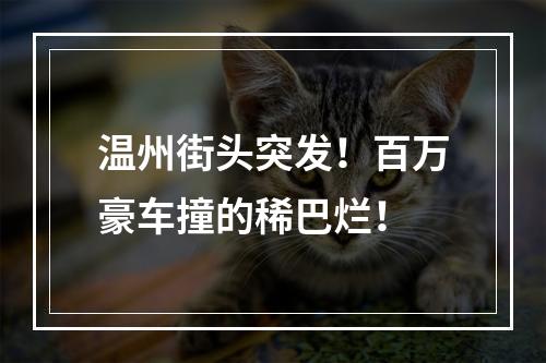 温州街头突发！百万豪车撞的稀巴烂！