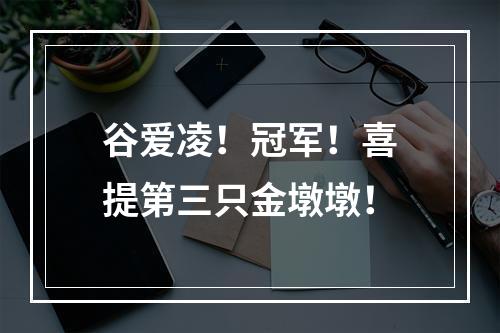 谷爱凌！冠军！喜提第三只金墩墩！
