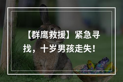 【群鹰救援】紧急寻找，十岁男孩走失！