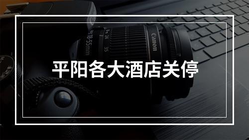 平阳各大酒店关停