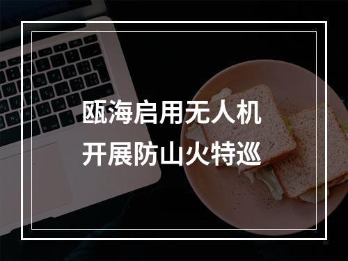 瓯海启用无人机 开展防山火特巡