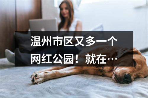 温州市区又多一个网红公园！就在…
