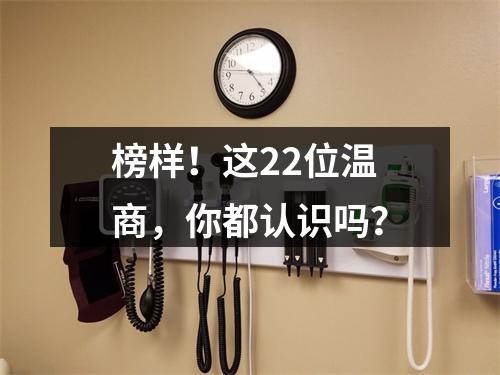 榜样！这22位温商，你都认识吗？