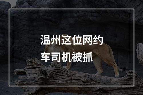 温州这位网约车司机被抓