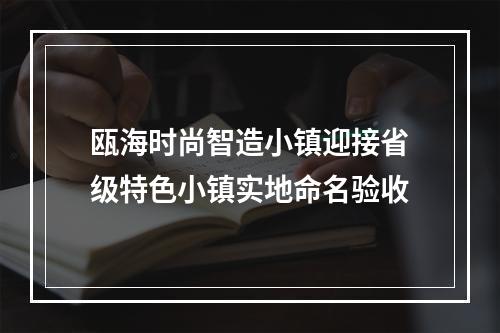 瓯海时尚智造小镇迎接省级特色小镇实地命名验收