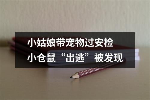小姑娘带宠物过安检 小仓鼠“出逃”被发现