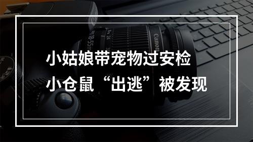 小姑娘带宠物过安检 小仓鼠“出逃”被发现