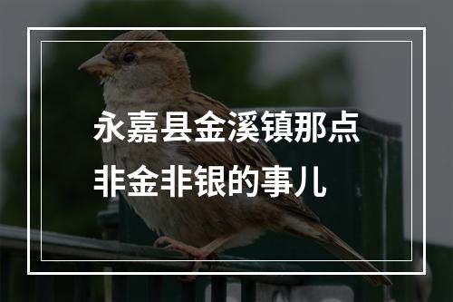 永嘉县金溪镇那点非金非银的事儿