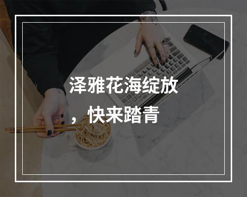 泽雅花海绽放，快来踏青