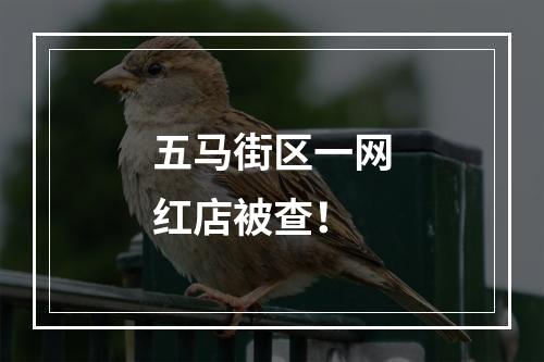 五马街区一网红店被查！