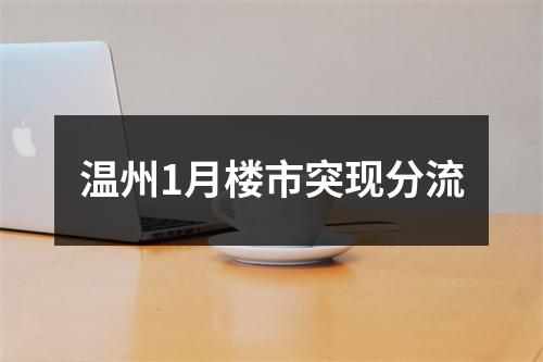 温州1月楼市突现分流