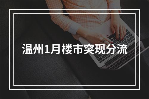 温州1月楼市突现分流