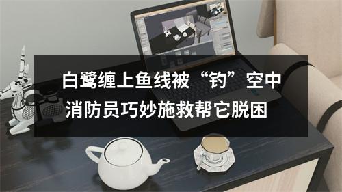 白鹭缠上鱼线被“钓”空中 消防员巧妙施救帮它脱困