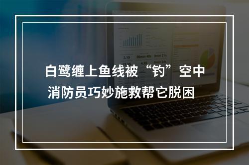 白鹭缠上鱼线被“钓”空中 消防员巧妙施救帮它脱困