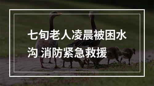 七旬老人凌晨被困水沟 消防紧急救援