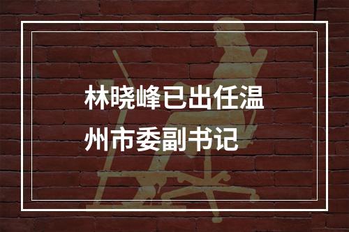 林晓峰已出任温州市委副书记