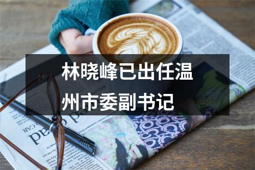 林晓峰已出任温州市委副书记