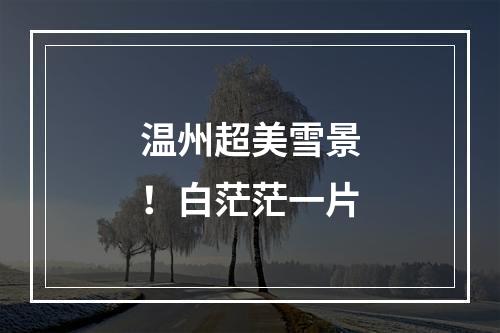 温州超美雪景！白茫茫一片
