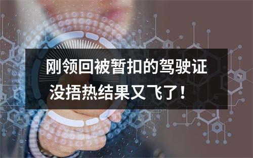 刚领回被暂扣的驾驶证 没捂热结果又飞了！