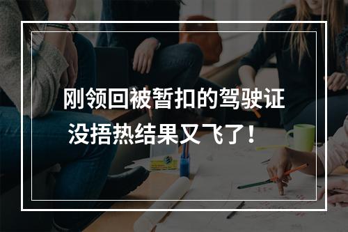 刚领回被暂扣的驾驶证 没捂热结果又飞了！
