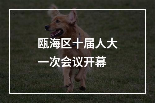 瓯海区十届人大一次会议开幕