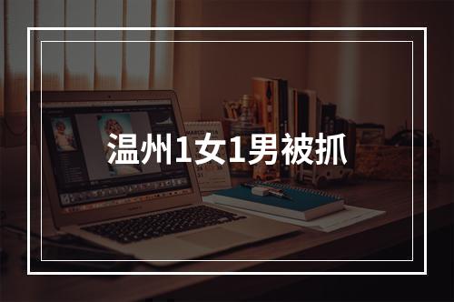 温州1女1男被抓