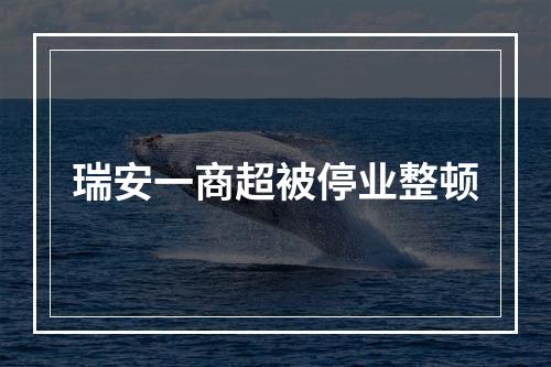 瑞安一商超被停业整顿