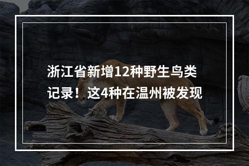 浙江省新增12种野生鸟类记录！这4种在温州被发现