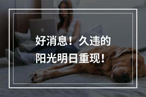 好消息！久违的阳光明日重现！