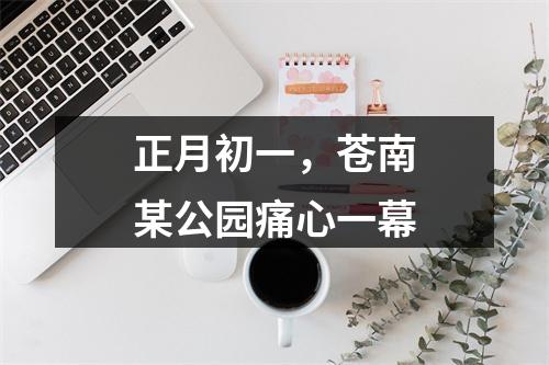 正月初一，苍南某公园痛心一幕